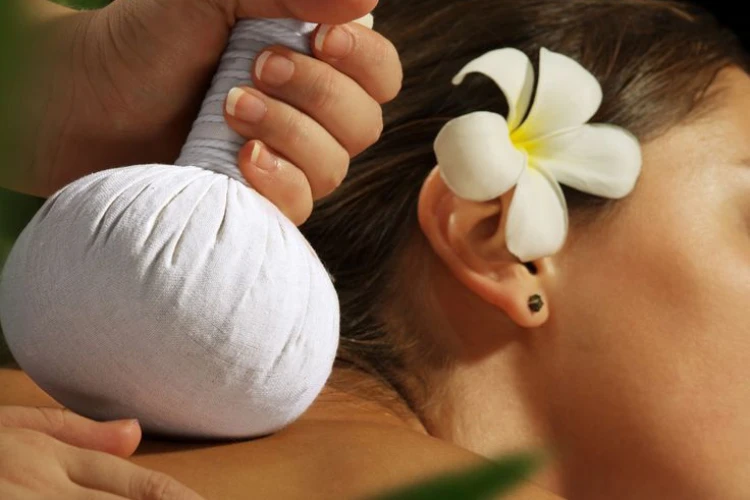 Ayurveda Panchakarma